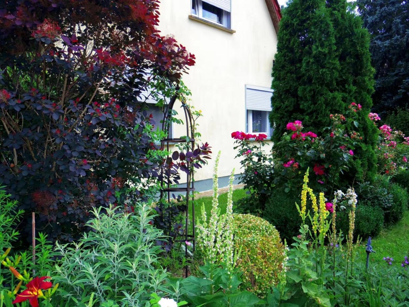 Ferienwohnung Im Blumengarten Angermunde Exterior photo