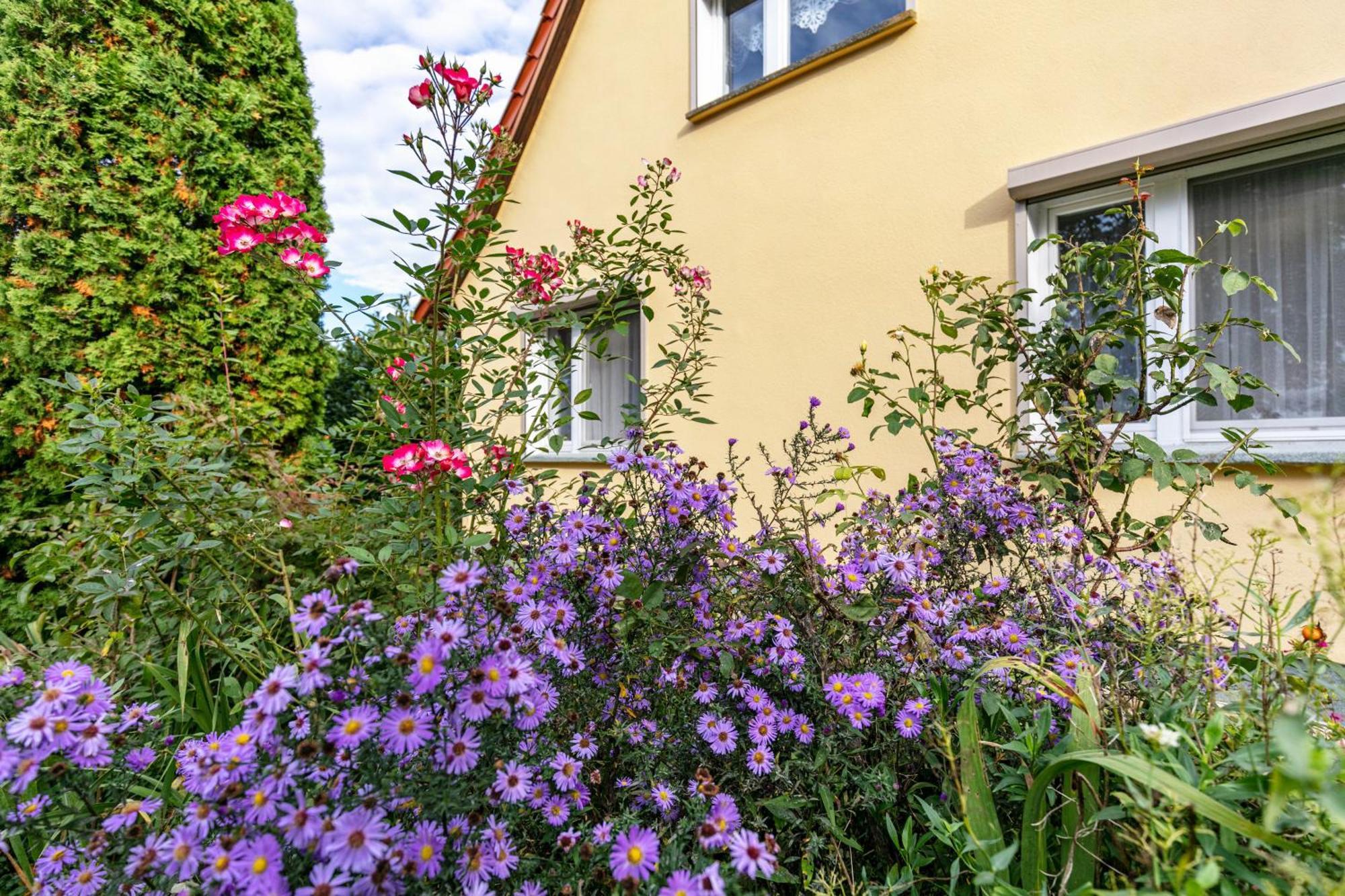 Ferienwohnung Im Blumengarten Angermunde Exterior photo